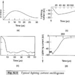 Characteristics of Lightning Strokes