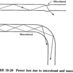 Fiber Losses