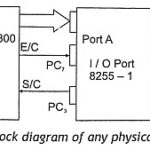 Measurement of Physical Quantities