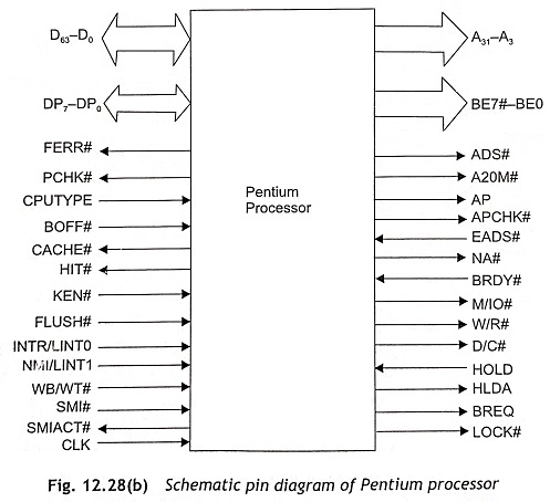 Pin Diagram of Pentium Processor