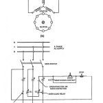 Starting of Squirrel Cage Induction Motor